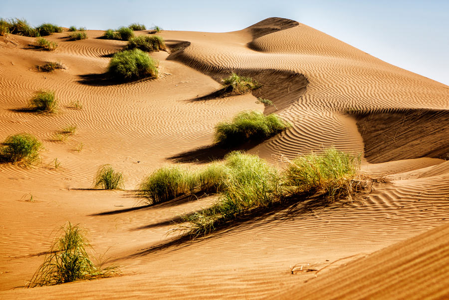 Die Wüste Karakum in Turkmenistan